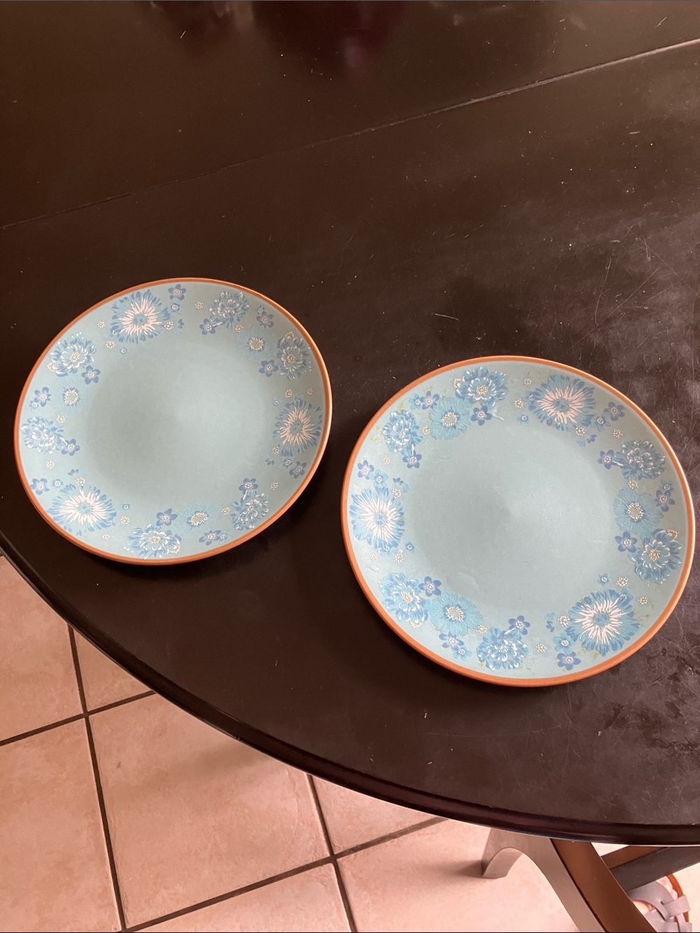 Blue Floral Stoneware Salad Plates - Set of 2